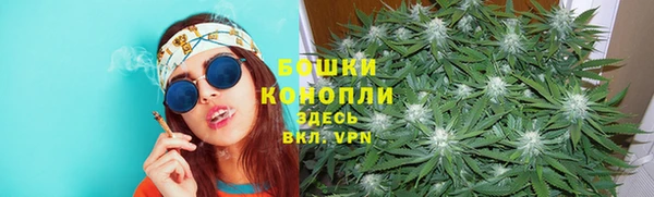 бошки Дмитров