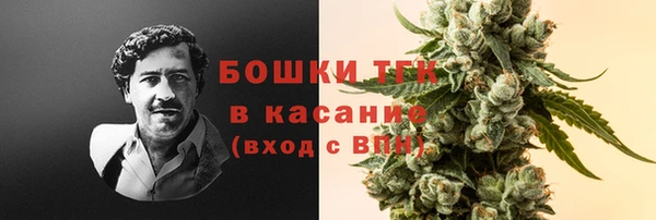 бошки Дмитров