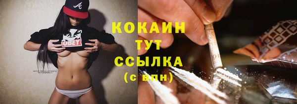 бошки Дмитров