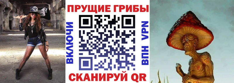 hydra как войти  Северская  Галлюциногенные грибы Psilocybine cubensis  закладка 